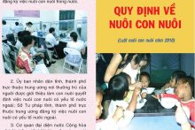 Đăng ký lại việc nuôi con nuôi trong nuớc