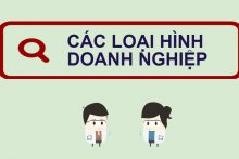 Tư vấn và Dịch vụ bổ sung thông tin trong Giấy chứng nhận ĐKDN của Công ty TNHH 1 thành viên “do cá nhân làm chủ sở hữu”