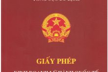 Tư vấn và dịch vụ cấp giấy phép kinh doanh lữ hành quốc tế đối với doanh nghiệp đưa khách du lịch ra nước ngoài và đưa khách du lịch vào Việt Nam