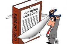 Tư vấn về thời giờ làm việc, nghỉ ngơi