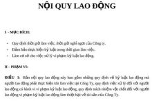 TƯ VẤN VỀ NỘI QUY LAO ĐỘNG
