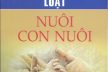 Nuôi con nuôi có yếu tố nước ngoài tại Hải Phòng