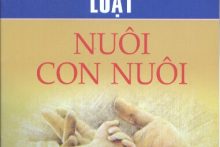 Sự đồng ý của cha mẹ người được nhận làm con nuôi