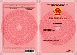 Tư vấn và dịch vụ tách thửa đất hoặc hợp thửa đất