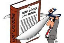 Hợp đồng Lao động – Những lưu ý khi thỏa thuận một số điều khoản chính của Hợp đồng