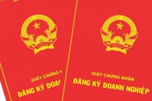 Tư vấn cấp lại giấy chứng nhận đăng ký doanh nghiệp