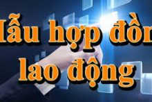 Mẫu hợp đồng lao động dành cho các doanh nghiệp