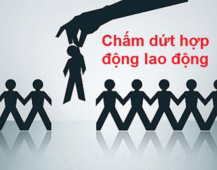 đơn phương chấm dứt hợp đồng lao đông