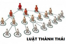 THỦ TỤC THÀNH LẬP CHI NHÁNH