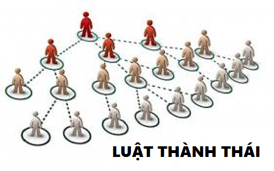 Thủ tục thành lập chi nhánh