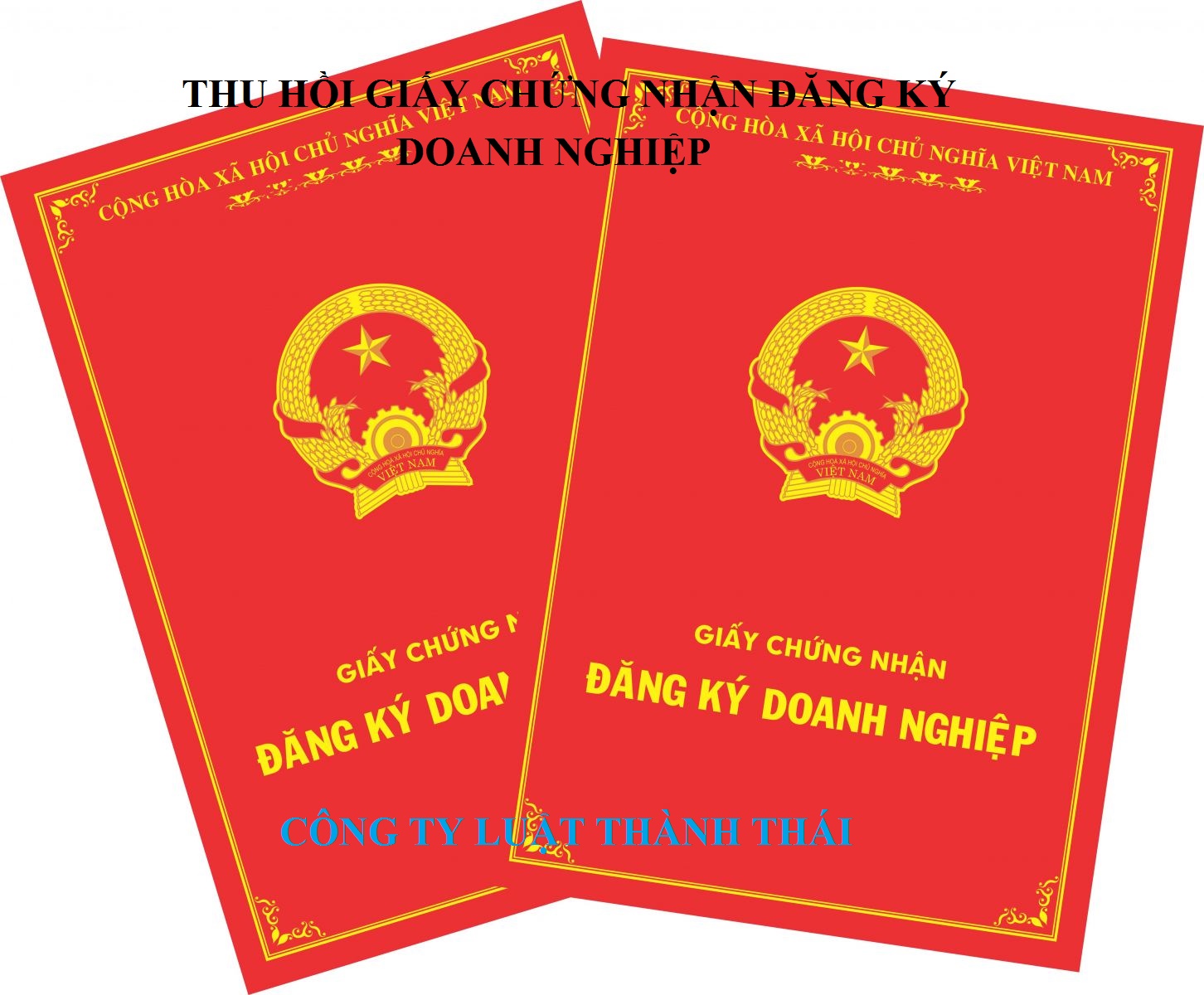 Các trường hợp thu hồi giấy chứng nhận đăng ký doanh nghiệp