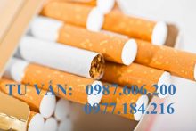 Thủ tục xin cấp lại giấy phép bán lẻ sản phẩm thuốc lá
