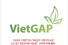 Hướng dẫn cấp giấy chứng nhận Vietgap cho nông hộ