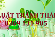 Tổ chức, cá nhân sản xuất, kinh doanh hóa chất cần đáp điều kiện gì?