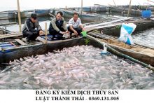Hồ sơ đăng ký kiểm dịch tạm nhập tái xuất đối với động vật, sản phẩm động vật