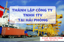 Thành lập công ty TNHH 1TV do cá nhân làm chủ sở hữu tại Hải Phòng