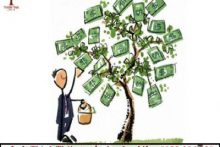 Việc chi trả cổ tức cho cổ đông được quy định như thế nào?