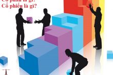 Các loại cổ phần, cổ phiếu trong công ty cổ phần