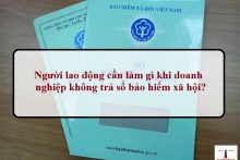Thủ tục cấp lại sổ bảo hiểm xã hội như thế nào?