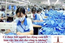 Có được bắt người lao động cam kết làm việc lâu dài cho công ty?