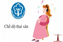 Hồ sơ giải quyết chế độ thai sản